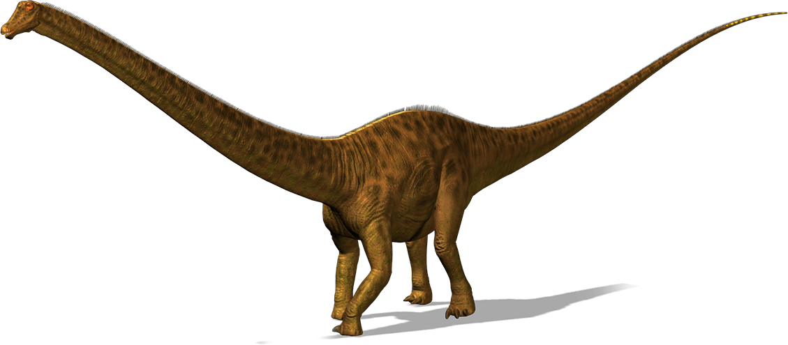 Diplodocus Is A Plant Eater, He Has His Long Neck To - Diplodocus Dinosaur Png (1129x495)