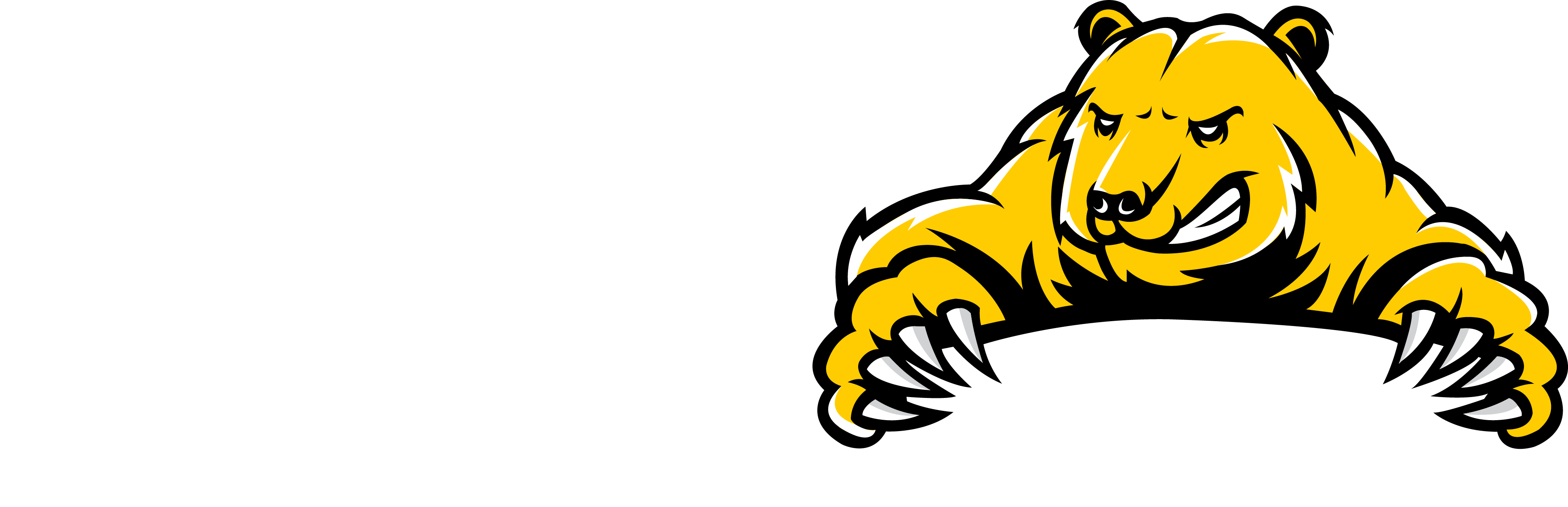 Camper Shell (3881x1255)