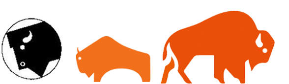 Binos Proudly Presents The New Corporate Design - Binos Proudly Presents The New Corporate Design (600x250)