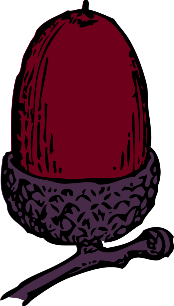 Acorn Clip Art - Acorn Clip Art (600x1056)