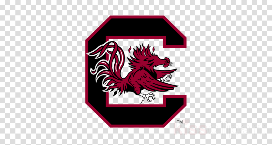 Download South Carolina Gamecocks Logo Clipart University - South Carolina Women's Basketball Logo (900x480)
