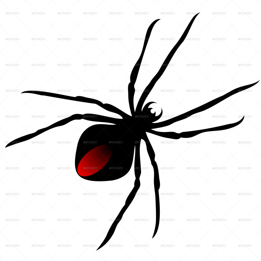 Spider Stickers Clipart Southern Black Widow Spider - Clip Art (900x900)