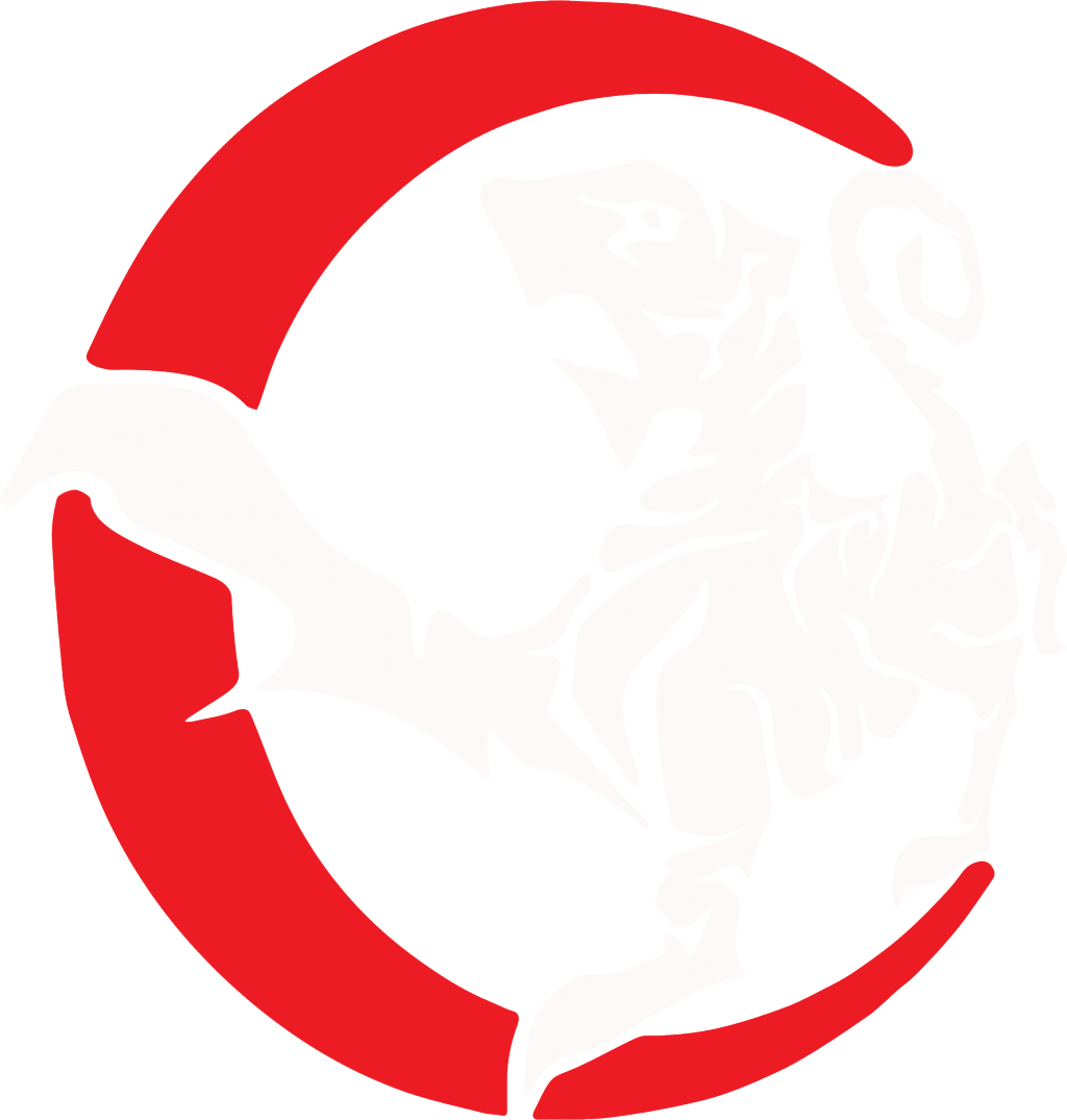Counties Shotokan Karate - Counties Shotokan Karate (1024x1074)