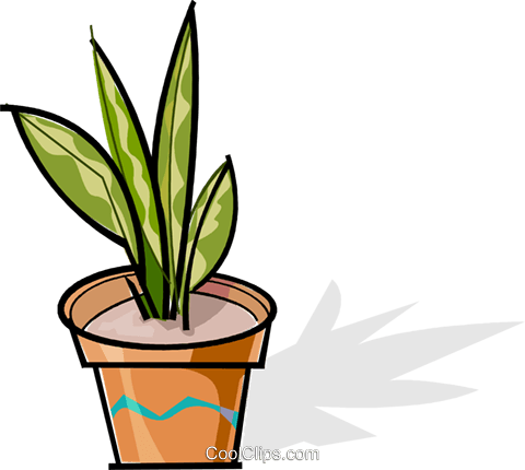 Potted Plant Royalty Free Vector Clip Art Illustration - Vector Graphics (480x430)
