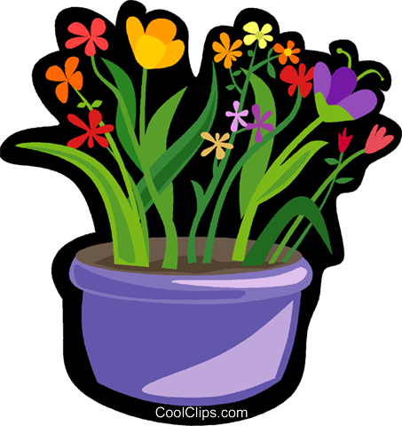 Colorful Flowers In Pot Royalty Free Vector Clip Art - Photosynthesis (453x480)