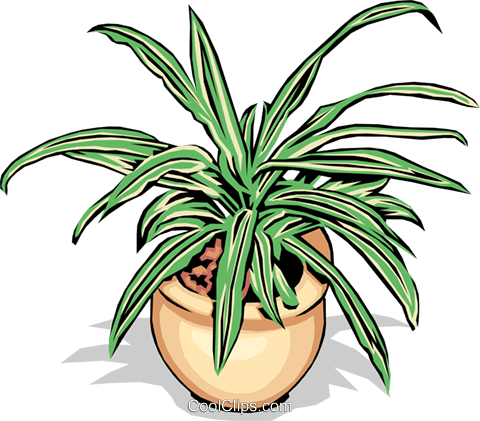 Plant Royalty Free Vector Clip Art Illustration - Plant Royalty Free Vector Clip Art Illustration (480x421)