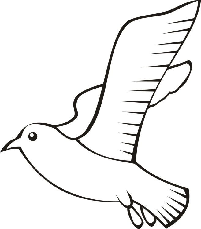 Feather Bird Beak Wing Flight - Outline Bird Png (657x750)