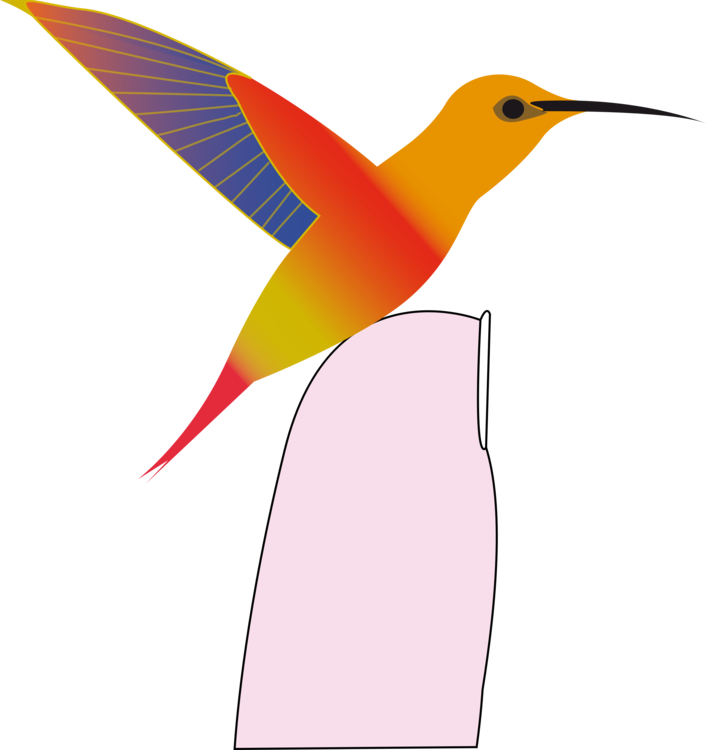 Hummingbird Beak Duck Wing - Colorful Hummingbird King Duvet (706x750)