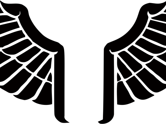 Wings Clipart Bird Wing - Wings Transparent Free Clipart (640x480)