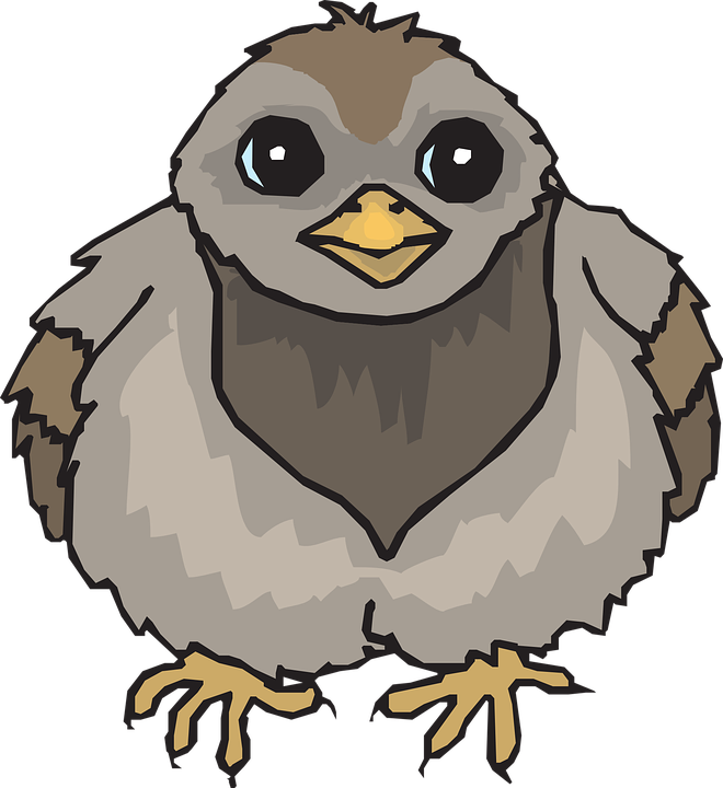 Pigeon Clipart Bird Wing - Baby Pigeons Drawing (660x720)