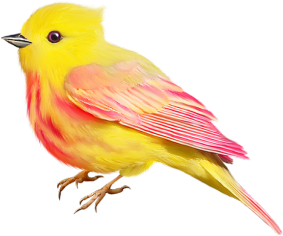 Cute Clipart, Clip Art, Handmade Crafts, Birds, Color, - Canary (590x486)