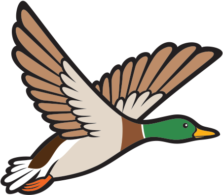 Goose Clipart Bird Fly - Mallard Ducky Clipart (600x600)