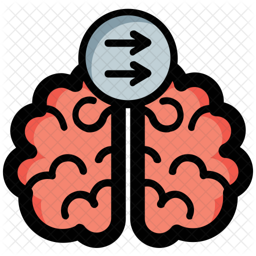 Transparent Human Brain Icon School Education Icons - Human Brain (512x512)