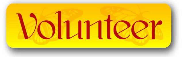 In - Lingerie (639x200)