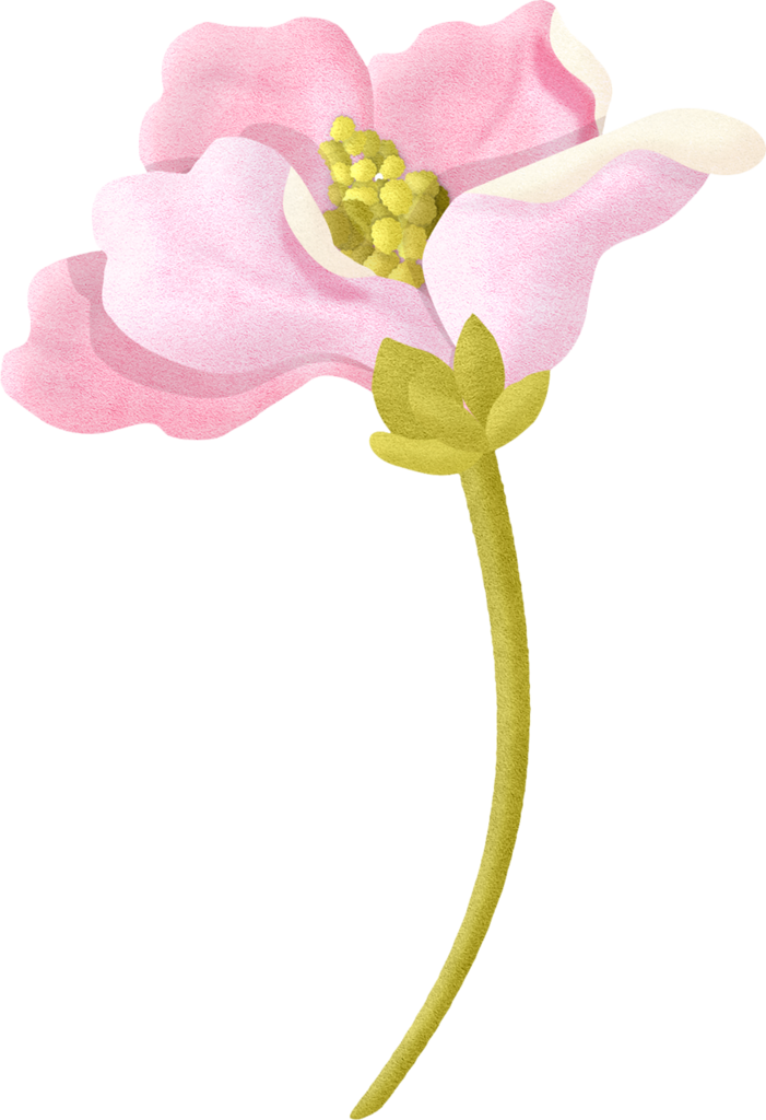 Album - Portable Network Graphics (701x1024)