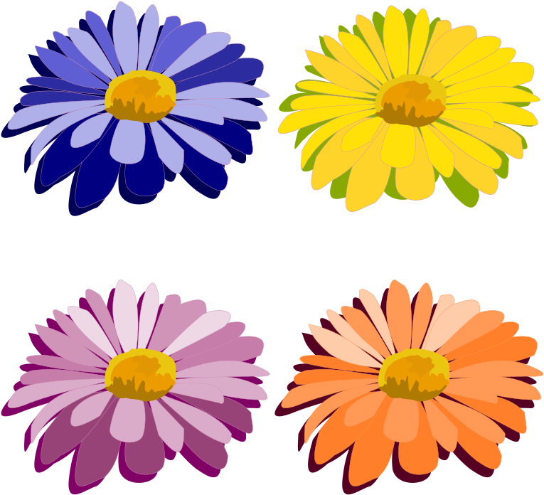 Clip - รูป ตัด ปะ ดอกไม้ (800x800)
