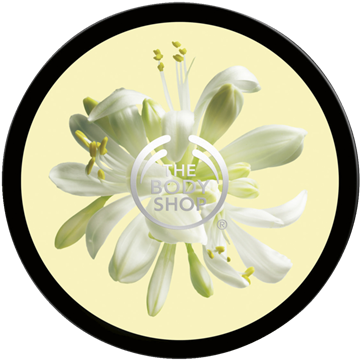 1 - Moringa Body Butter (450x450)