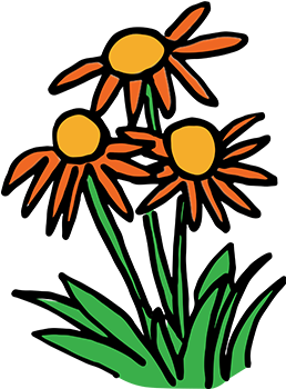 What Kind Of Flowering Plants Should I Choose - What Kind Of Flowering Plants Should I Choose (433x361)