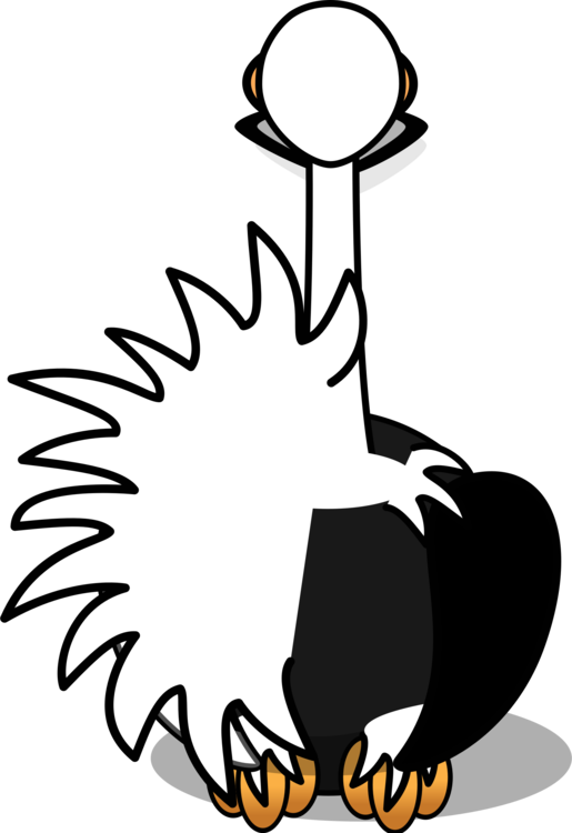 Common Ostrich Bird Cartoon Silhouette Ducks, Geese - Avestruz Dibujos Animados (515x750)