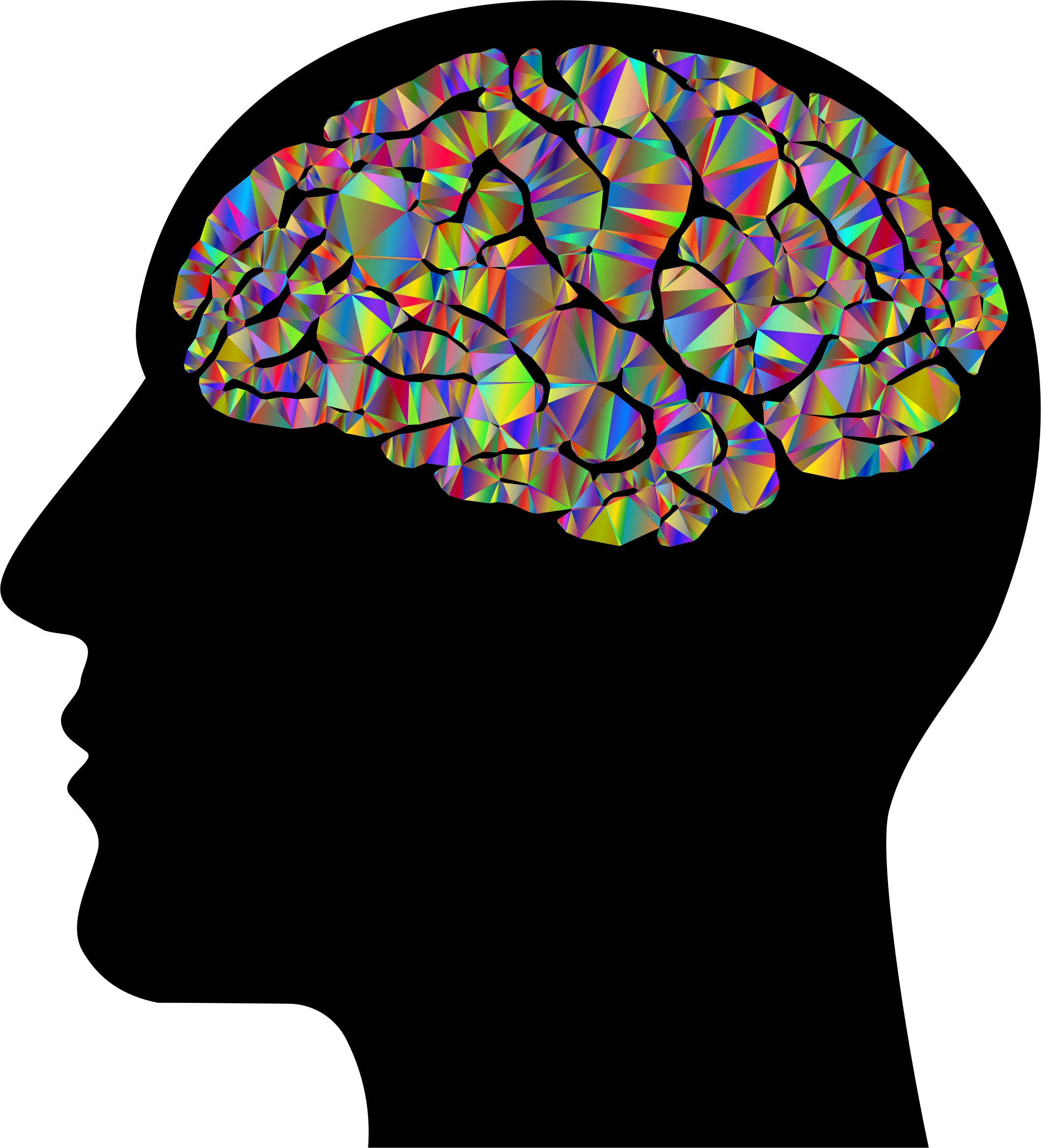 Color brain. Мозг в голове. Силуэт головы с мозгом.