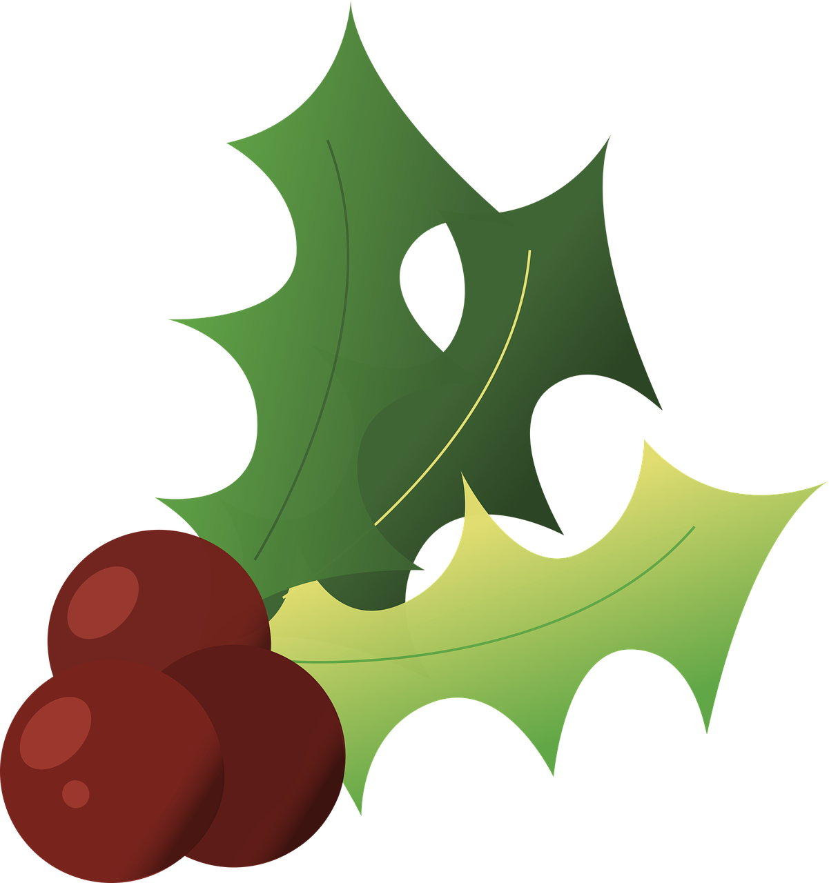 Holly Christmas Winter - Acebo Navidad Fondo Blanco Gratis (1201x1280)
