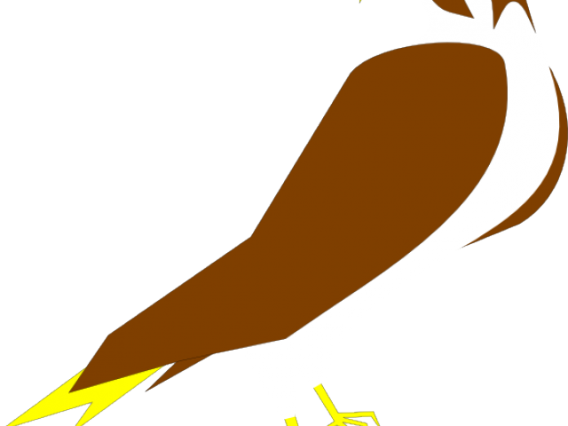 Falcon Clipart Clip Art - Clip Art (640x480)
