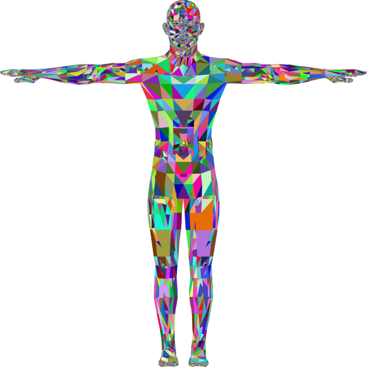 All Photo Png Clipart - Anatomy And Physiology Clipart (751x750)