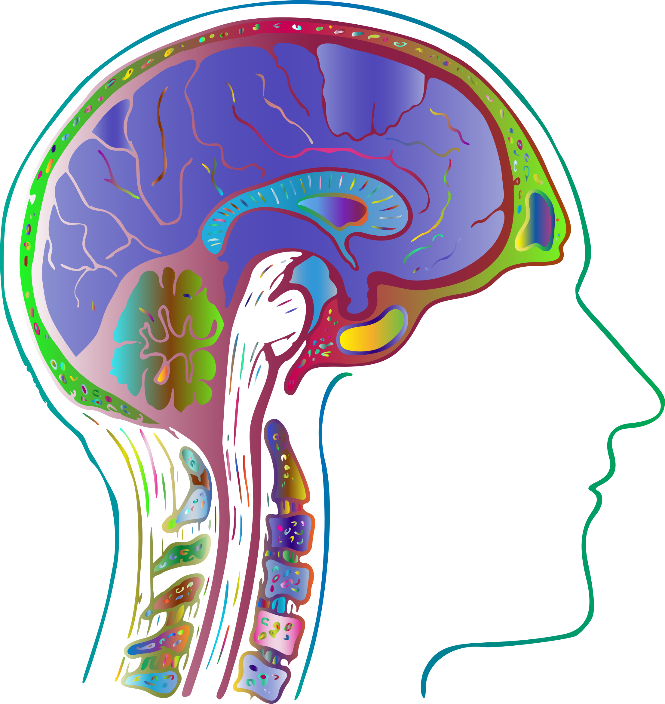Tree Line Organ - Clip Art (2212x2342)