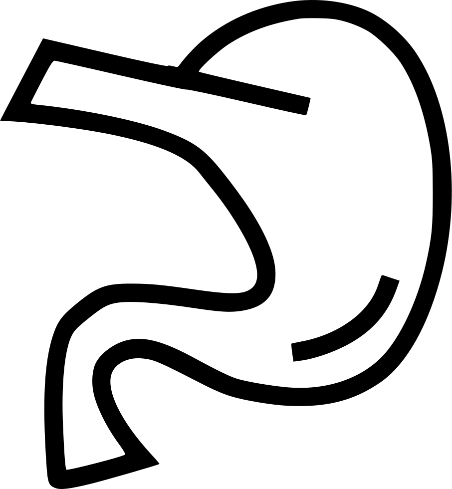 Pancreas Anatomy Organ Comments - Stomach (906x980)