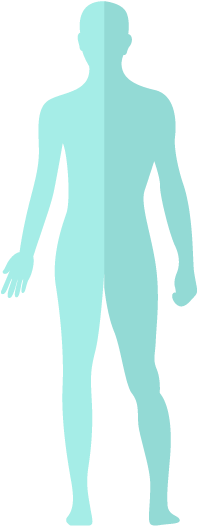 The Head - Blog (200x600)