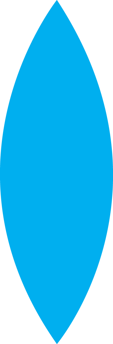 Fusion Of Multipolar & Multilateral Worlds - Blå Cirkel (367x1117)