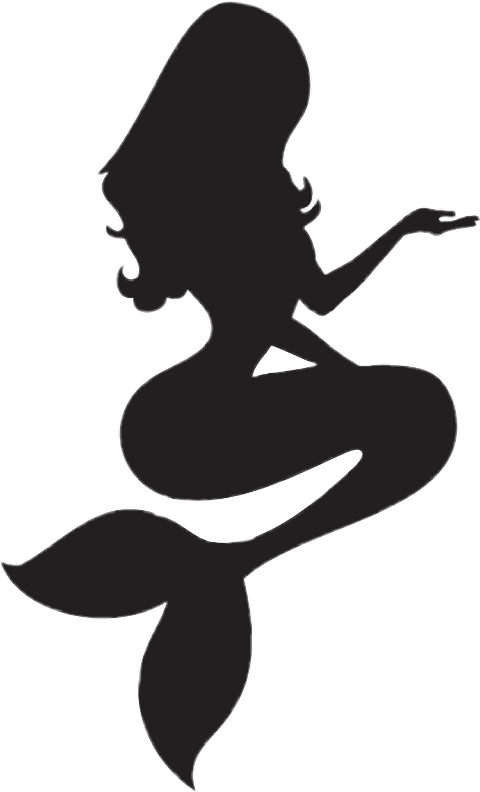 Mermaid Tail Silhouette Png (480x792)