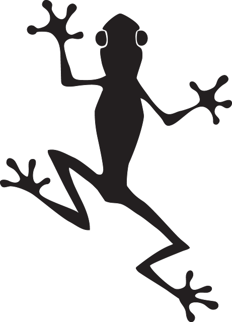 Eyes, Frog, Silhouette, Amphibian, Sticky - Frog Vector Free (461x640)