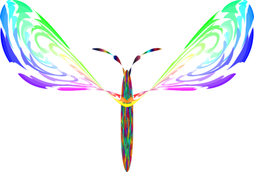 Butterfly Computer Icons Grayscale Animal Black And - Portable Network Graphics (503x340)