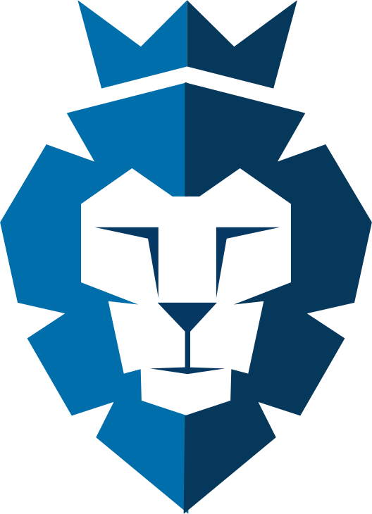 Advocaat Hoofddorp Singh Raaijmakers - Lion (528x730)