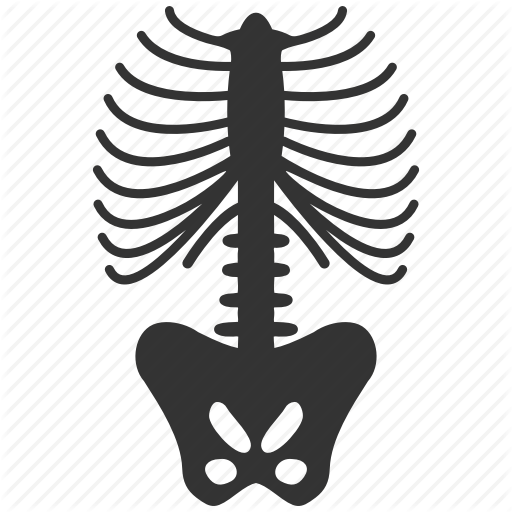 Download X Ray Health Icons Spine Clipart Vertebral - Spine X Ray Icon (512x512)