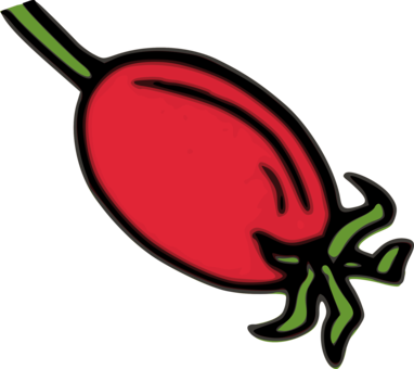 Rose Hip Pelvis Fruit Herb - Rose Hips Clip Art (382x340)