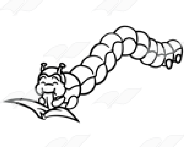 Inchworm Clipart Leaf - Leaf (640x480)