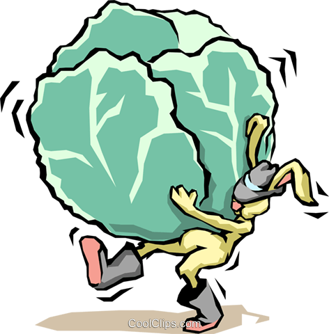 Rabbit With Cabbage Royalty Free Vector Clip Art Illustration - Humor And A Little Bit More (472x480)