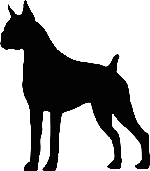 Cabbage Drawing Cartoon - Labrador Retriever Silhouette Vector (695x605)