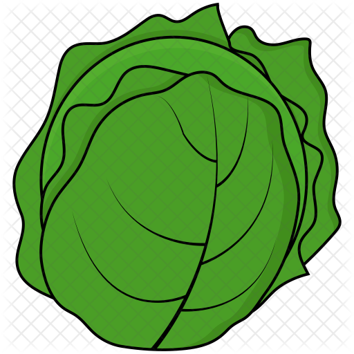 Cabbage Plan View Png - Cabbage Icon (512x512)