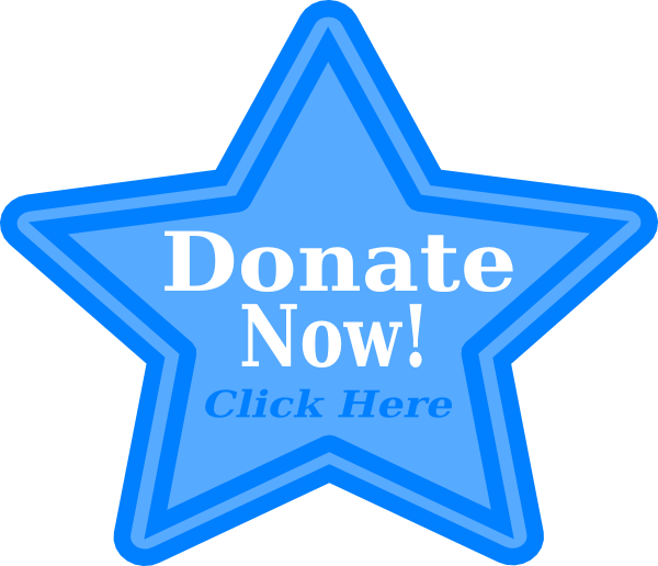 Donate Now Blue2 Clip Art At Clkercom Vector Online - Western Sydney Wanderers Logo (600x516)