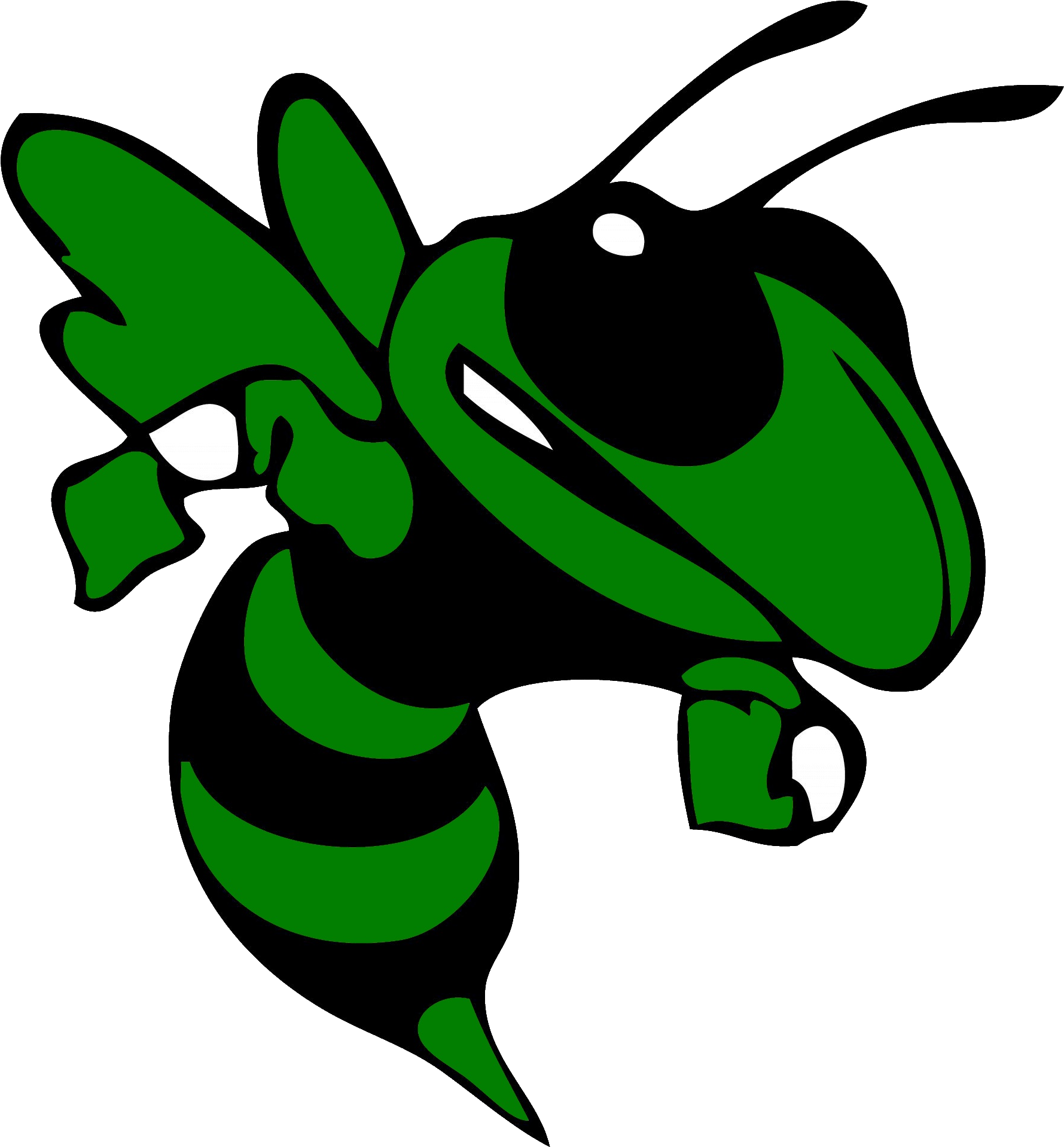 Transparent Hornet Clipart (1800x1926)