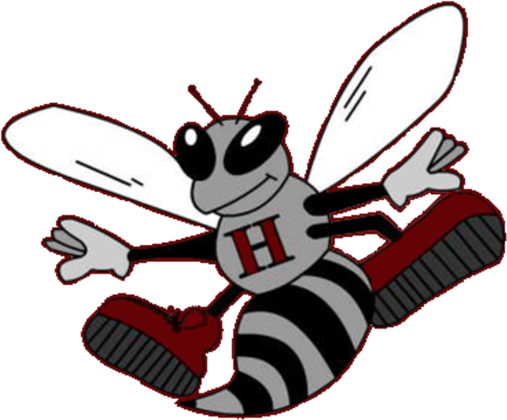 Hudson High School Hornets (720x720)