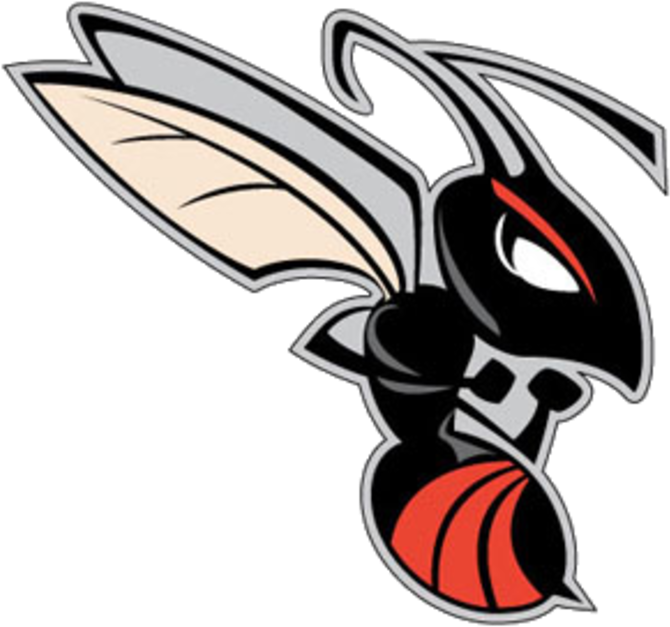 Boles Hornets (720x674)