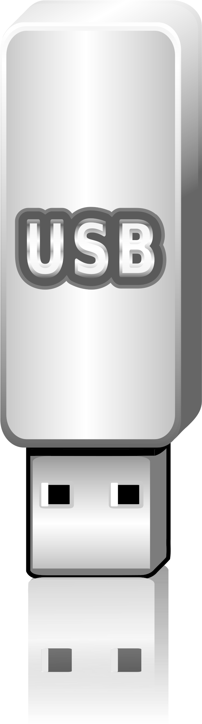 Flash Memory Clipart - Usb Flash Drive (651x2400)