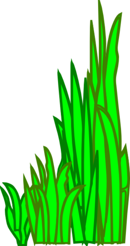 About 3600 Free Commercial & Noncommercial Clipart - Animasi Rumput Laut Bergerak (260x489)