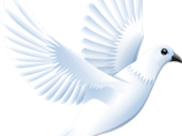 White Dove Clipart Clip Art - Clip Art (640x480)