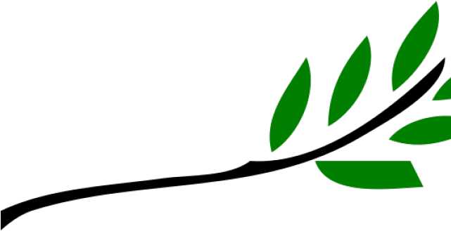Peace Dove Clipart Leaf Clip Art - Leaves Clip Art No Background (640x480)