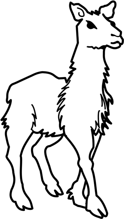 All Photo Png Clipart - Llamas Black And White Clipart (446x750)